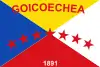 Bandera de Cantón de Goicoechea