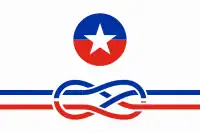 Bandera de la Corporación Nacional de Vexilología de Chile