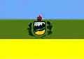 Bandera de la Provincia de Huacaybamba
