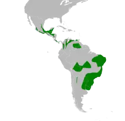 Distribución geográfica de Basileuterus culicivorus