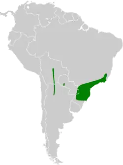 Distribución geográfica del batará gigante.