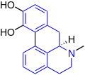 Apomorfina (one additional ring closure)