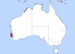 Distribución de A. bucephalus en las costas de Australia.