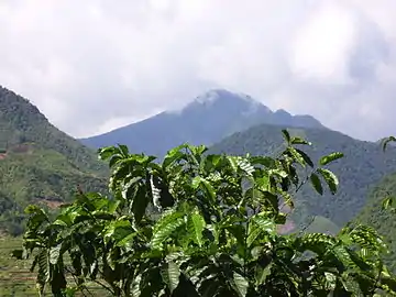 Mount Binuluan, volcán.