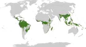 Distribución geográfica de los bosques lluviosos tropicales y subtropicales