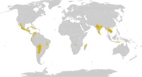 Distribución de los bosques xerófilos en el mundo