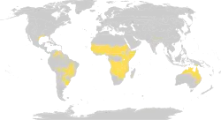 Distribución global de las praderas tropicales y subtropicales (Sabanas).