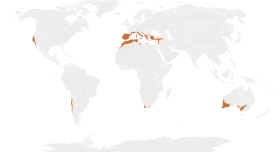 Localización del bosque mediterráneo