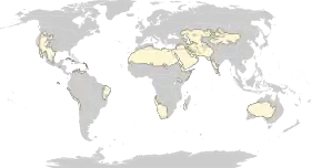 Distribución de los desiertos en el mundo.