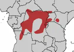 Distribución del turaco piquinegro en rojo