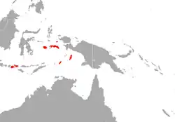 Distribución de Pteropus malanopogon (el mapa también incluye el territorio de Pteropus aruensis y Pteropus keyensis)