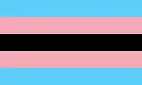 Bandera del orgullo trans negro