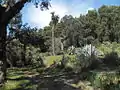 Vista del jardín botánico.