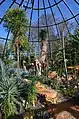 'Tiefland' en el "Botanischer Garten der Universität Zürich".