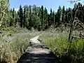 Muchos senderos están preparados para atravesar cuerpos de agua y hacer la travesía más sencilla.