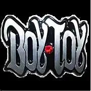 Logo del cinturón «Boy Toy».