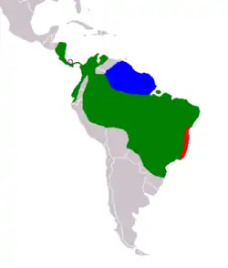 Distribución de Bradypus