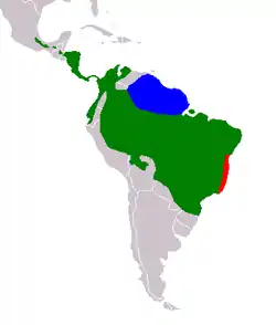 Distribución geográfica del género Bradypus. B. tridactylus en azul.