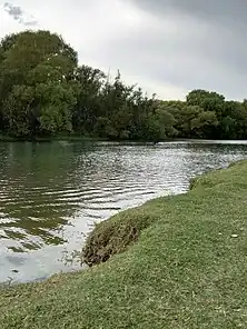 Brazo del Rio Negro.