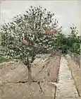 Gustave Caillebotte, Manzano en flor (Pommier en fleurs), c. 1885