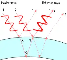 En este diagrama vemos dos rayos de luz roja (rayos 1 y 2). Ambos rayos se dividen igual que antes y siguen dos caminos posibles, pero solo estamos interesados en los caminos representados con líneas continuas. Consideremos el rayo que emerge del punto Y. Consiste en dos rayos superpuestos: la parte del rayo 1 que atravesó la pared de la pompa y la parte del rayo 2 que se reflejó en la pared exterior. El rayo 1 ha viajado una distancia XOY mayor que la del rayo 2. Como XOY resulta tener la misma longitud que la longitud de onda de la luz roja, los dos rayos están en fase (las crestas y los valles están juntos).