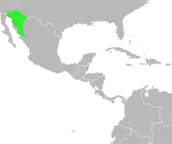 Distribución de I. alvarius