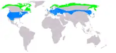 Distribución de Buteo lagopus