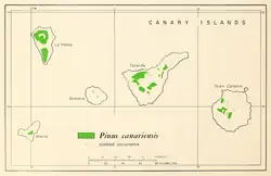 Distribución natural de Pinus canariensis.