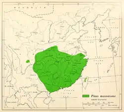 Distribución de Pinus massoniana en un mapa de 1966