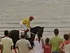 Carreras de caballos de Sanlúcar