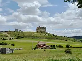 Castillo de Cabrejas del Pinar.