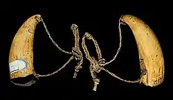 Diente de cachalote perforada para ajustar una cuerda de liana trensada (mismo diente fotografiado dos veces) (finales del siglo XIX).