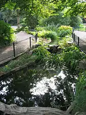 Estanque en el Jardin des Plantes de Caen.
