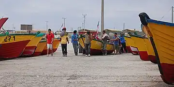 Grupo de Pescadores en la caleta.