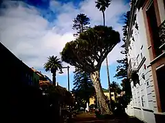 La calle San Agustín concluye en esta plaza.