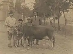 Campesinos con vaca basta canaria (1910-20)