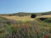 Campos de labranza de la provincia de Segovia