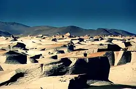 Campo de Piedra Pómez en la puna de Catamarca