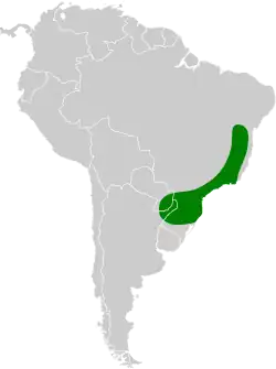 Distribución geográfica del picoguadaña piquinegro.