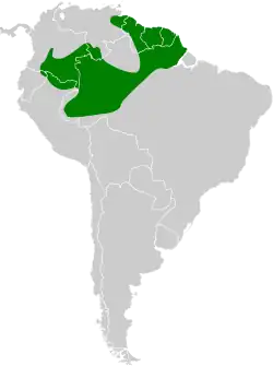Distribución geográfica del picoguadaña amazónico.