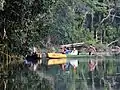 Paseo en canoa en Chalalán