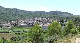 Vista de Capsanes