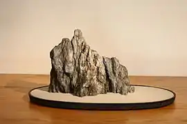 iwagata-ishi (piedra con forma de costa rocosa)