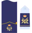 Divisa de teniente general (Ejército del Aire y del Espacio)