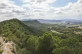Sierra Escalona.