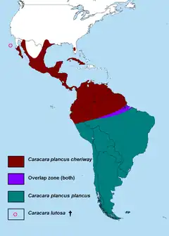 Distribución de las especies del género Caracara