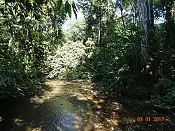 Río en Parque nacional Carara