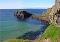 Aves en Carrick-a-Rede