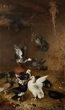 Varias aves aparecen revueltas y parece que luchando entre sí