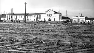 Labrando el campo para el cultivo de cacahuetes, 1948, Valencia